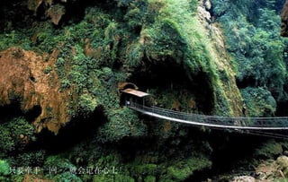 只要牵手一回  就会记在心上 