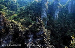 撩开你那神秘的面纱  禁不住我心荡漾 