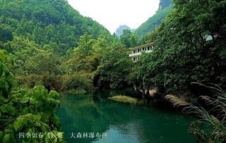 四季如春气候爽  大森林瀑布群   