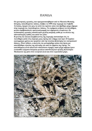 ΠΑΝΙΔΑ
Οι ερευνητικές εργασίες, που πραγματοποιήθηκαν από το Μουσείο Φυσικής
Ιστορίας Απολιθωμένου Δάσους Λέσβου το 1999 σ...