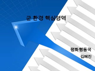군 환경 핵심영역 평화행동국 김혜진 