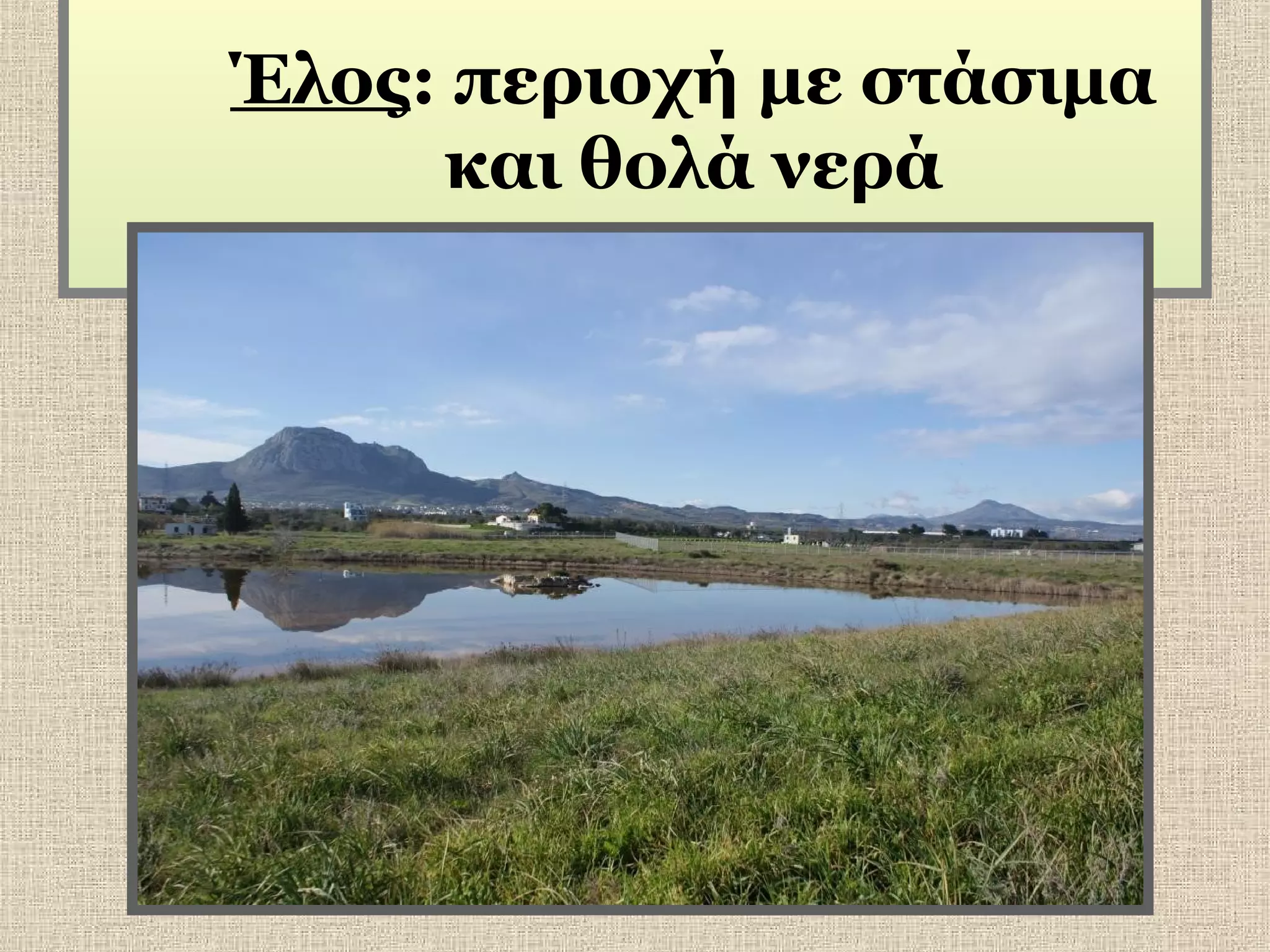 Έλος: περιοχή με στάσιμα
και θολά νερά

 