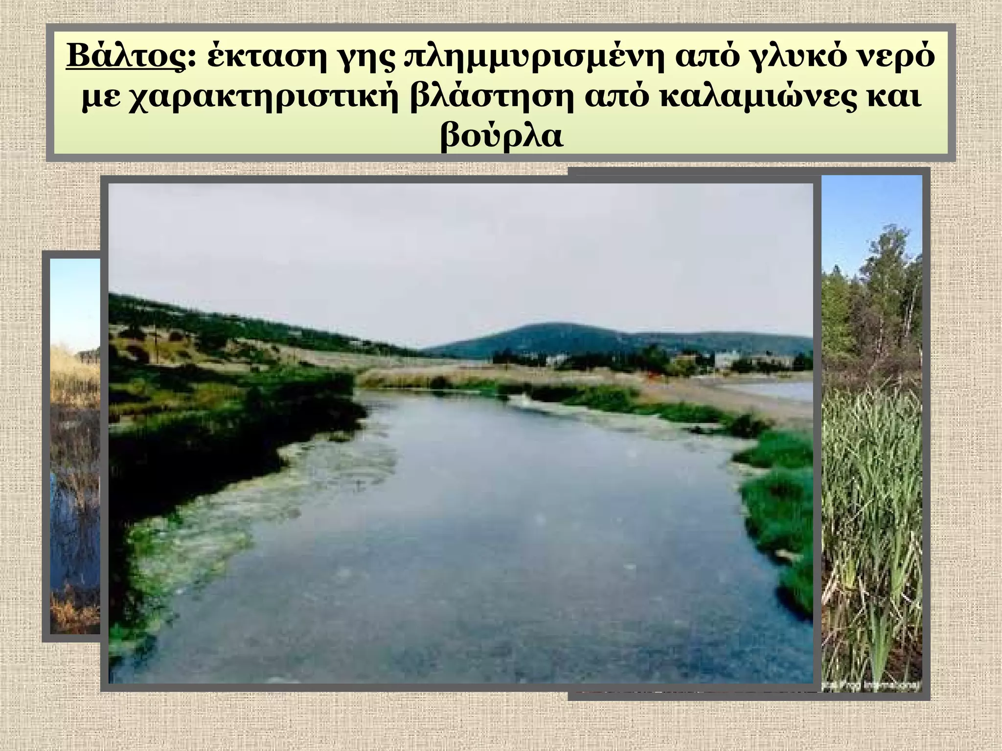 Βάλτος: έκταση γης πλημμυρισμένη από γλυκό νερό
με χαρακτηριστική βλάστηση από καλαμιώνες και
βούρλα

 