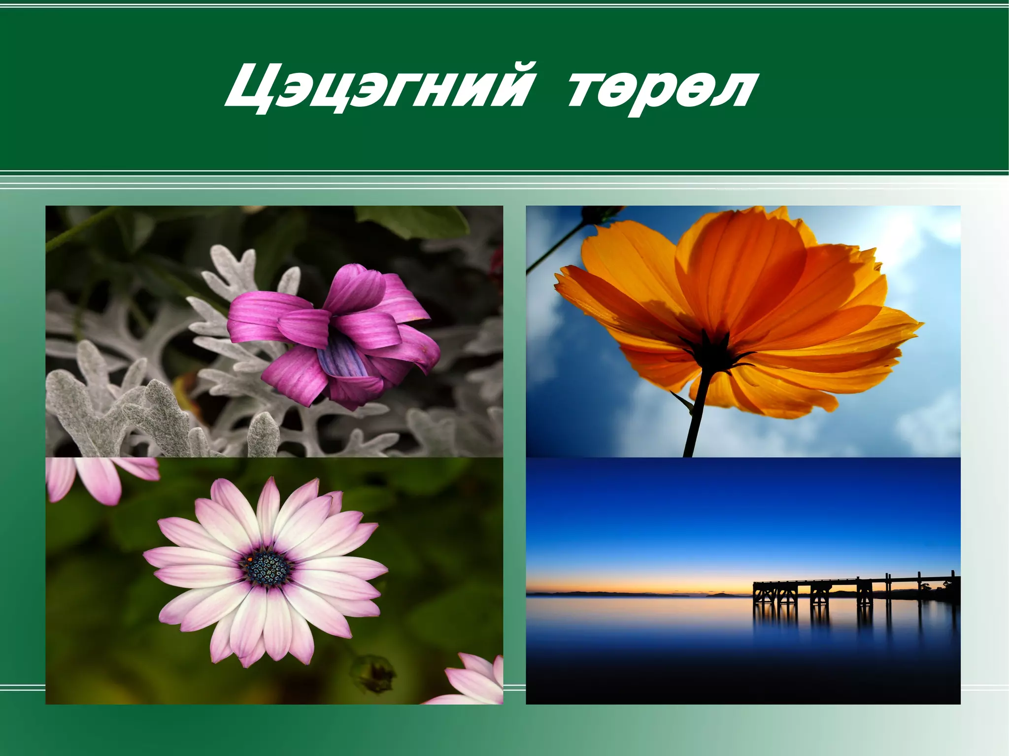 гурвалжин
