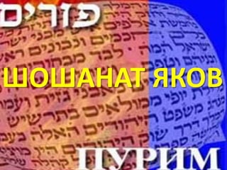 ШОШАНАТ ЯКОВ
 
