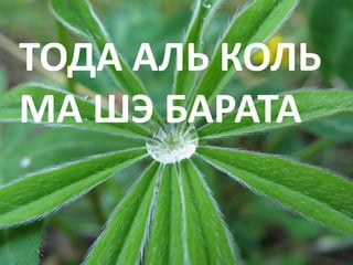 ТОДА АЛЬ КОЛЬ
МА ШЭ БАРАТА
 