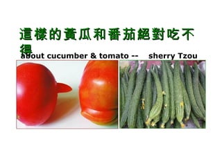 這樣的黃瓜和番茄絕對吃不得  about cucumber & tomato --    sherry Tzou 