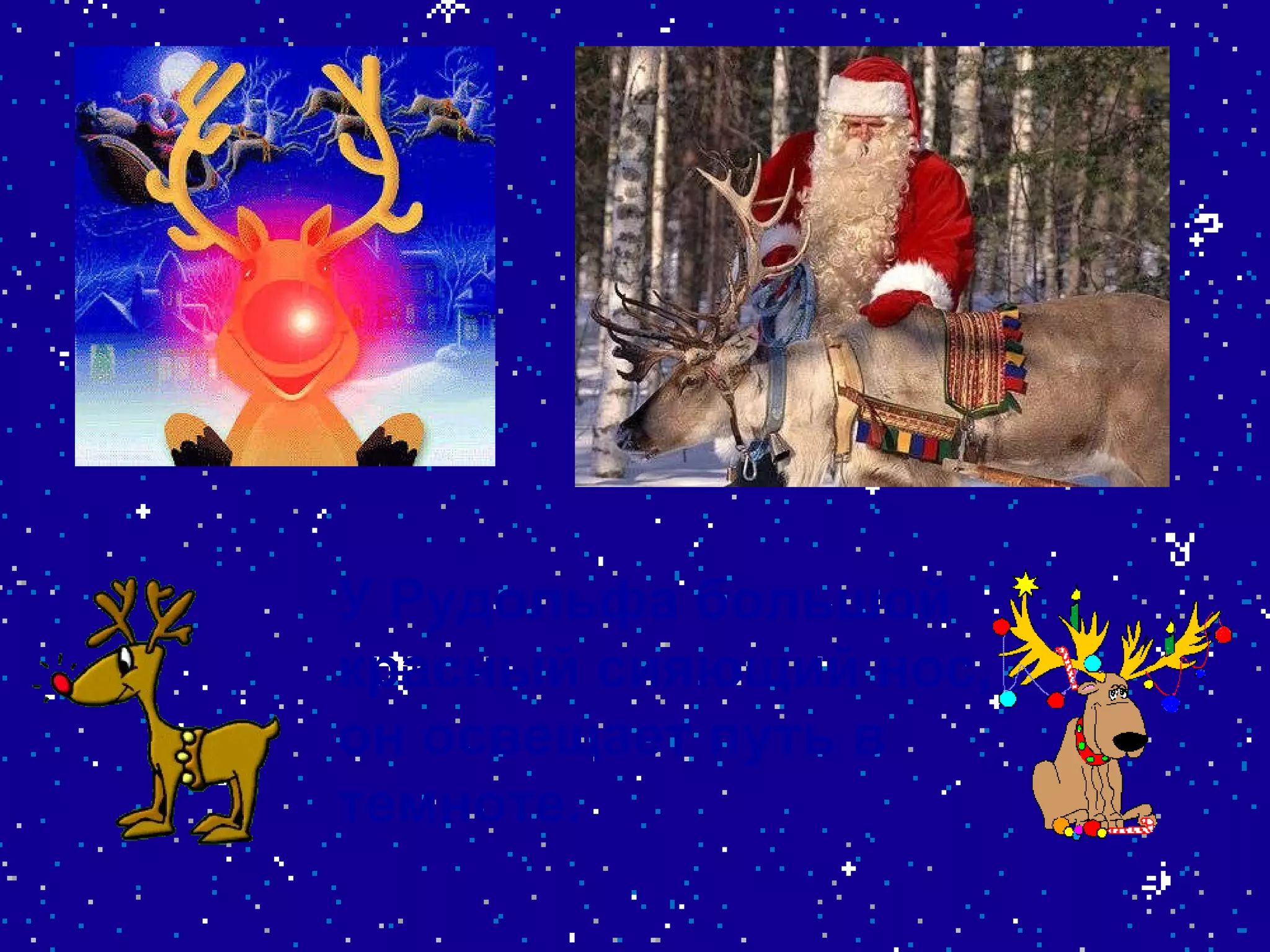 У Рудольфа большой красный сияющий нос, он освещает путь в темноте.  