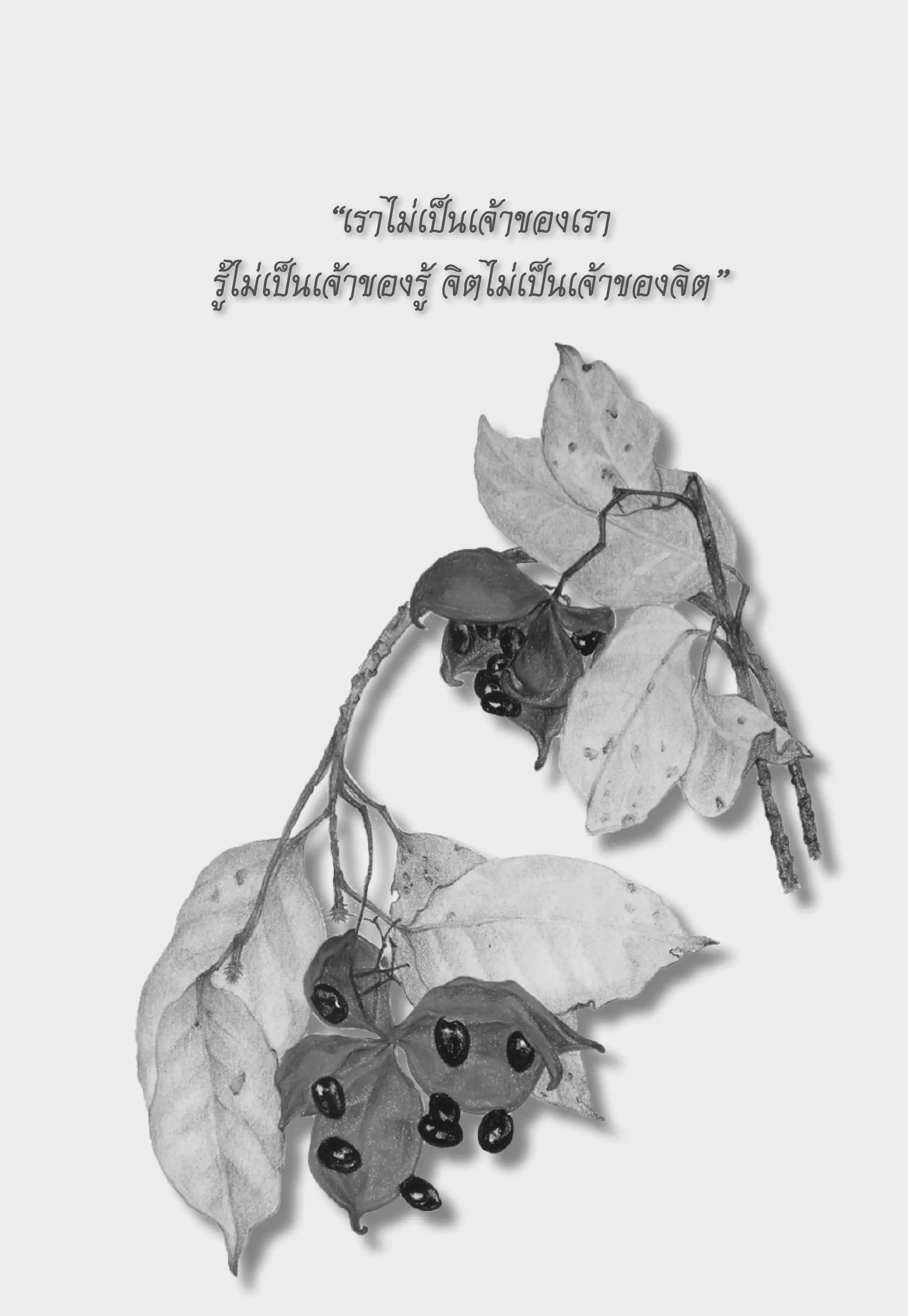 “เราไม่เป็นเจ้าของเรา
รู้ไม่เป็นเจ้าของรู้
จิตไม่เป็นเจ้าของจิต”
 