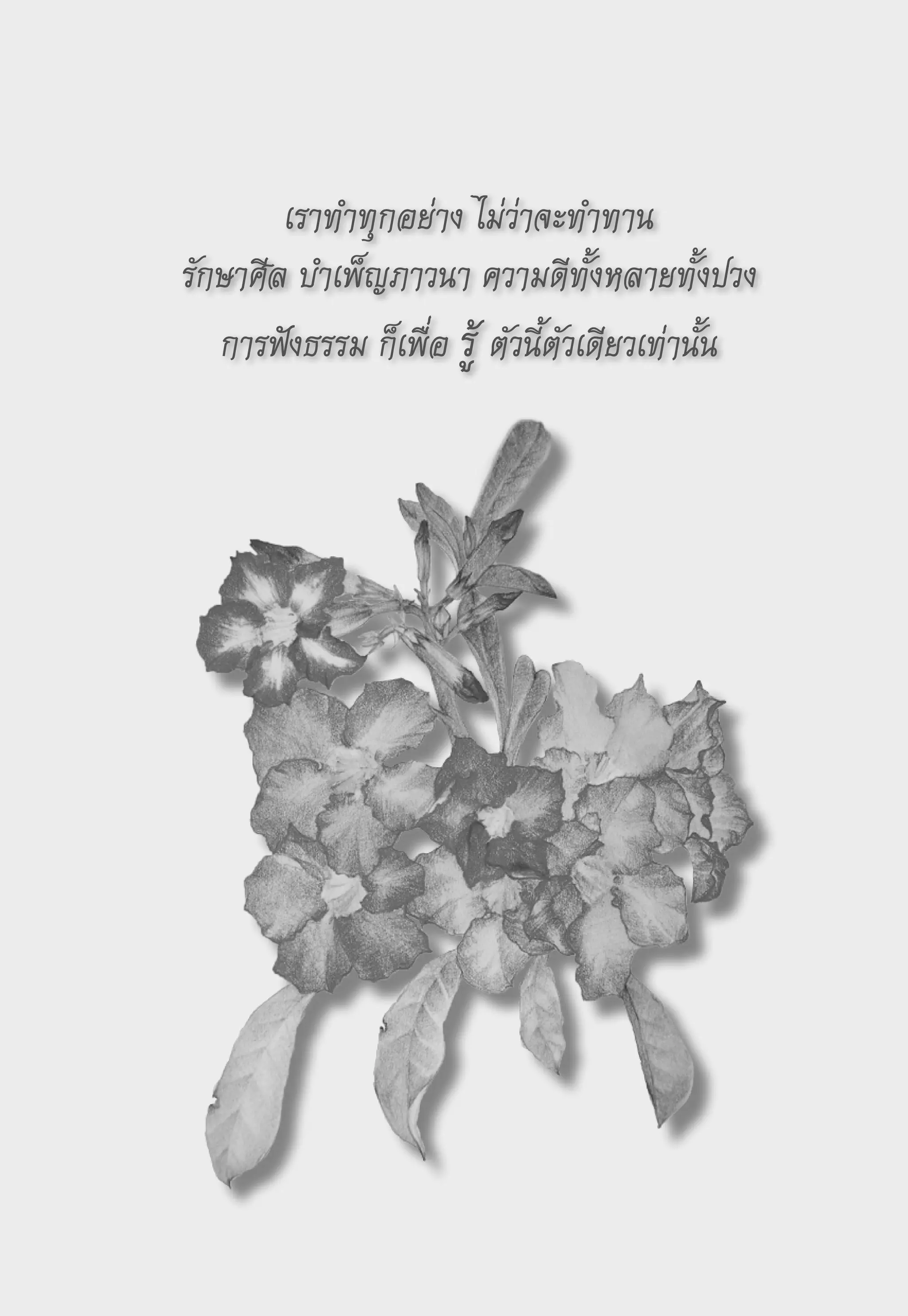 เราทำทุกอย่าง
ไม่ว่าจะทำทาน
รักษาศีล
บำเพ็ญภาวนา
ความดีทั้งหลายทั้งปวง
   การฟังธรรม
ก็เพื่อ
รู้
ตัวนี้ตัวเดียวเท่านั้น
 