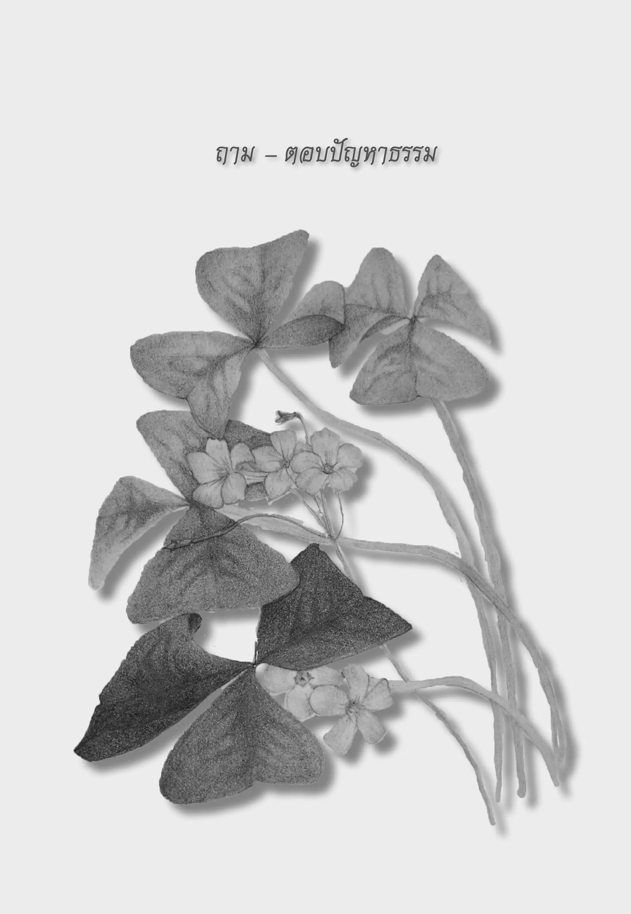 ถาม
–
ตอบปัญหาธรรม
 