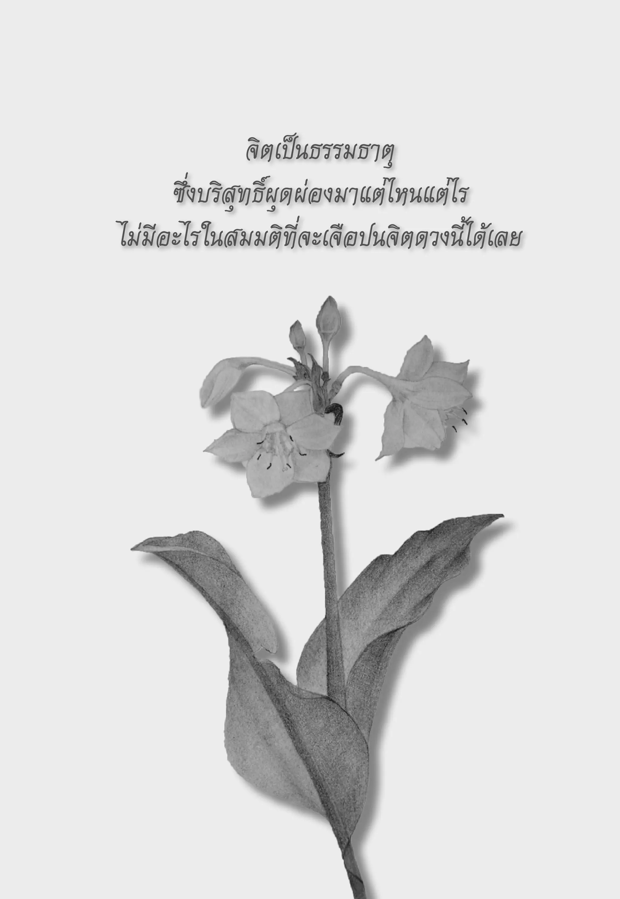 จิตเป็นธรรมธาตุ
      ซึ่งบริสุทธิ์ผุดผ่องมาแต่ไหนแต่ไร

ไม่มีอะไรในสมมติที่จะเจือปนจิตดวงนี้ได้เลย
 