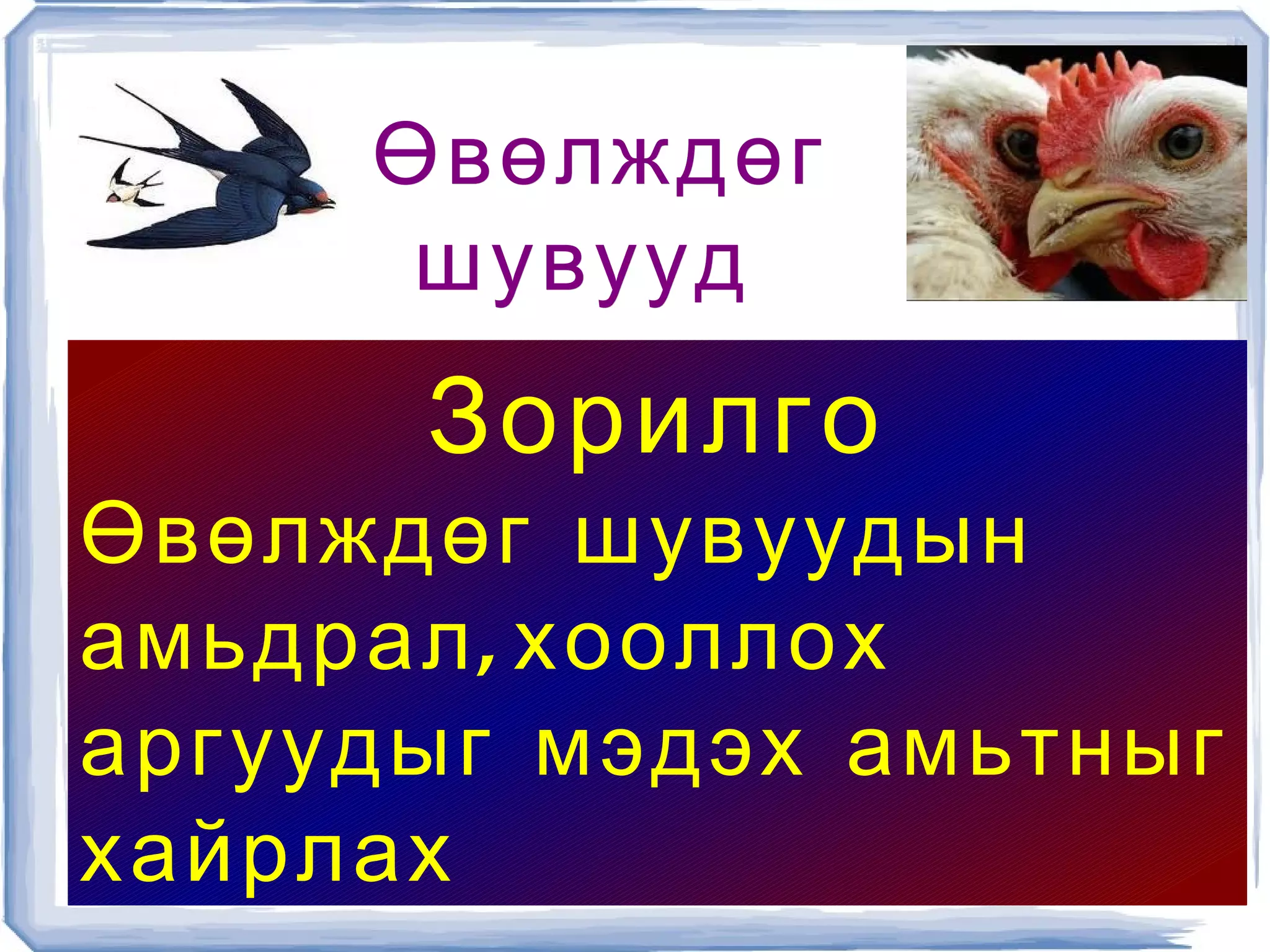 өвөлждөг шувуу баяса