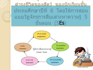 ผลการเรียนรู้วิทยาศาสตร์  เรื่อง  การดำรงชีวิตของสัตว์  ของนักเรียนชั้นประถมศึกษาปีที่  6  โดยใช้การสอนแบบวัฏจักรการสืบเสาะหาความรู้  5  ขั้นตอน  (5Es) 