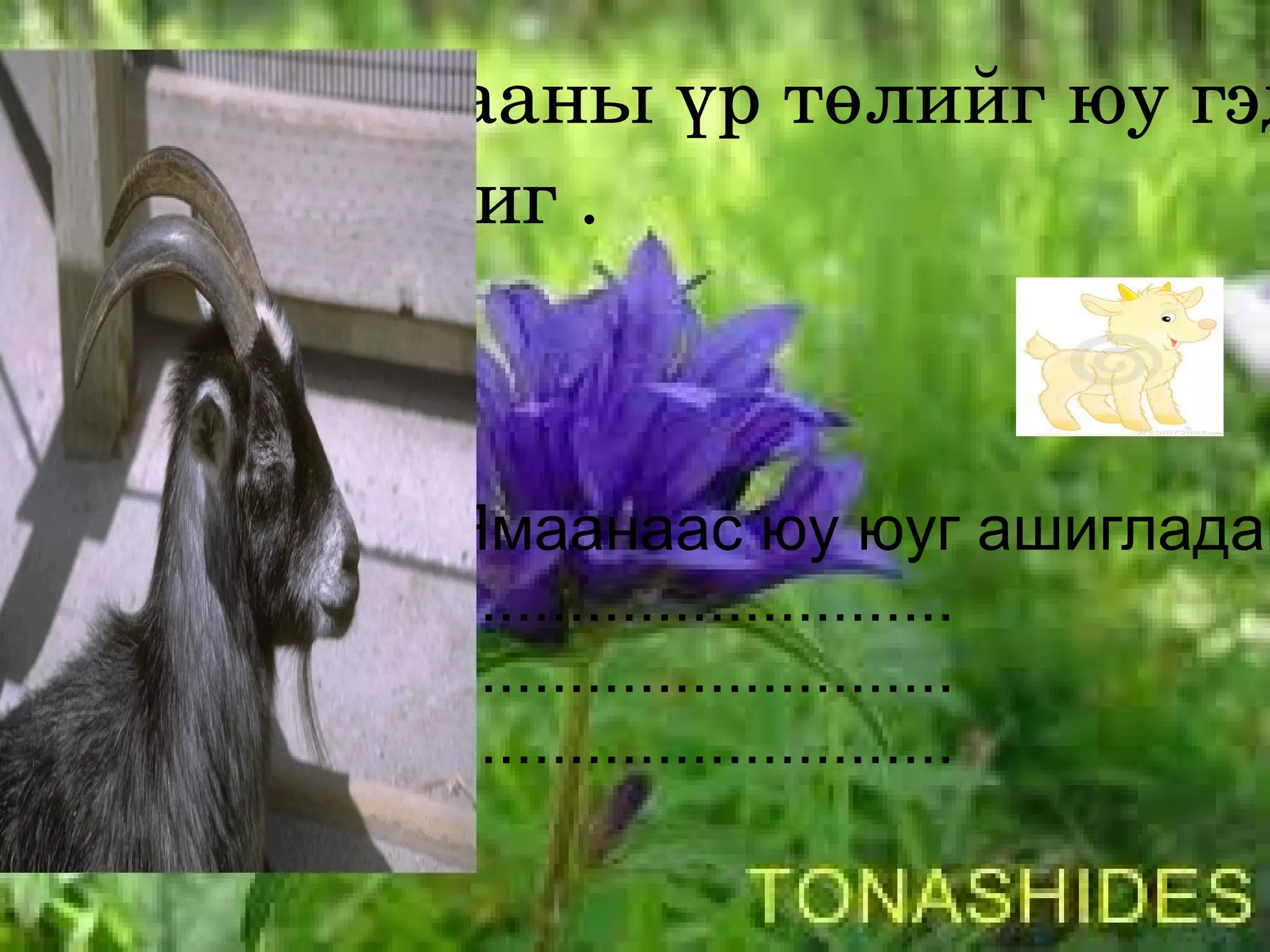 Алжаал тайлах дасгал 