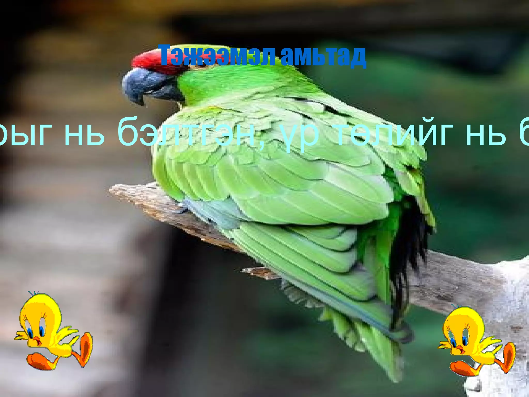 ............................. 