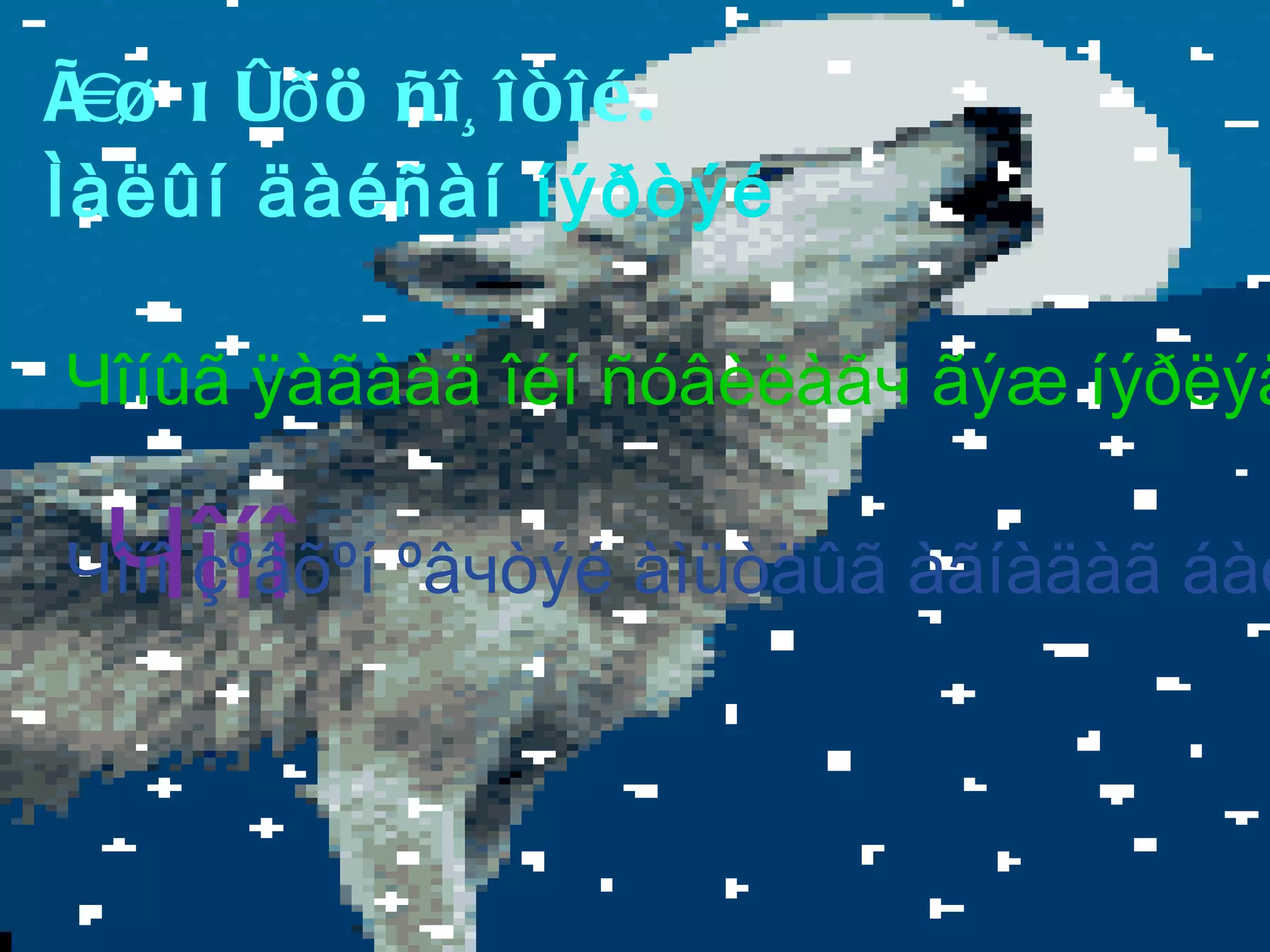 Туулай  Жижигхэн , саарал,  Бутны цаанаас бултгас Дэрсний цаанаас дэлдгэс . Туулай өвөл ямар зүстэй болдог вэ? Туулай өвөл цасны өнгөтэй адилхан, цагаахан дээлтэй болдог. 