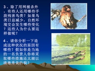 3 、除了用网捕杀外，有些人还用哪些手段残害鸟类？如果鸟类日益减少，自然环境交会发生哪些变化？这些人为什么要这样做呢？ 4 、请你分析一下造成这种状况的原因有哪些？假如你是当地的一名负责人你将采取哪些措施还太湖以清澈秀美的貌？ 
