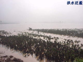 洪水泛滥 
