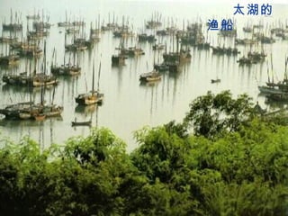 太湖的渔船 