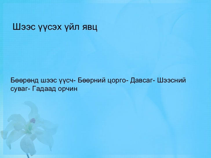 бөөрний бүтэц