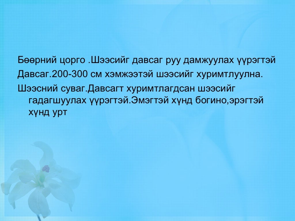 бөөрний бүтэц