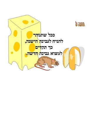 ללמוד מעכברים