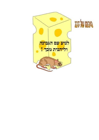 ללמוד מעכברים