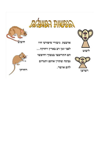 ללמוד מעכברים