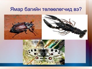 4хос энгийн нүдтэй  