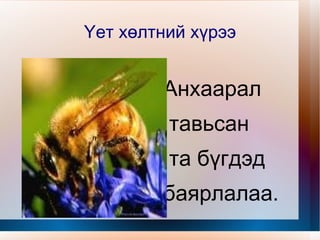 Cахалгүй, 2 хос тэмтрүүлтэй 