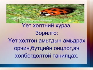 Үет хөлтний хүрээ. Зорилго: Үет хөлтөн амьтдын амьдрах орчин,бүтцийн онцлог,ач холбогдолтой танилцах. 