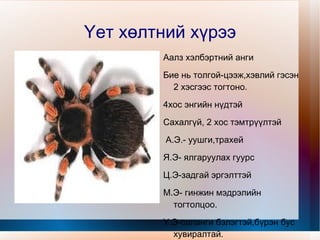 Үет хөлт амьтдын амьдрах орчинг харьцуулах. 