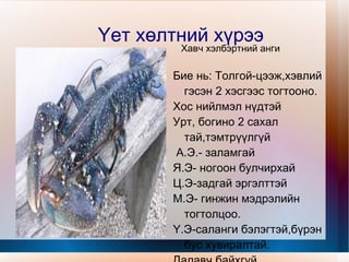 Үет хөлт амьтдыг ажиглах,таних. 