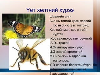 Үет хөлт амьтдыг бүтцийн онцлогоор харьцуулах. 