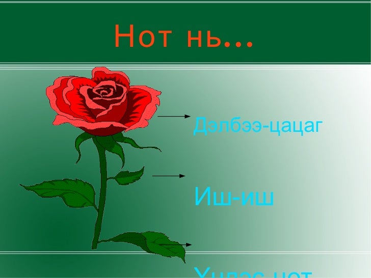 нот цахим үзүүлэн