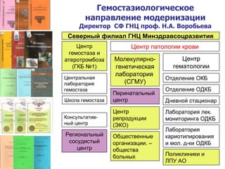 Северный филиал ГНЦ Минздравсоцразвития Центр гемостаза и атеротромбоза (ГКБ №1) Центр патологии крови Центральная лаборатория гемостаза Молекулярно-генетическая лаборатория  (СГМУ) Центр гематологии Школа гемостаза Консультатив- ный центр  Региональный сосудистый центр Перинатальный центр Центр репродукции (ЭКО) Общественные организации. – общества больных Отделение ОКБ Отделение ОДКБ Дневной стационар Лаборатория лек. мониторинга ОДКБ Лаборатория кариотипирования и мол. д-ки ОДКБ Поликлиники и ЛПУ АО Гемостазиологическое направление модернизации Директор  СФ ГНЦ проф. Н.А. Воробьева 