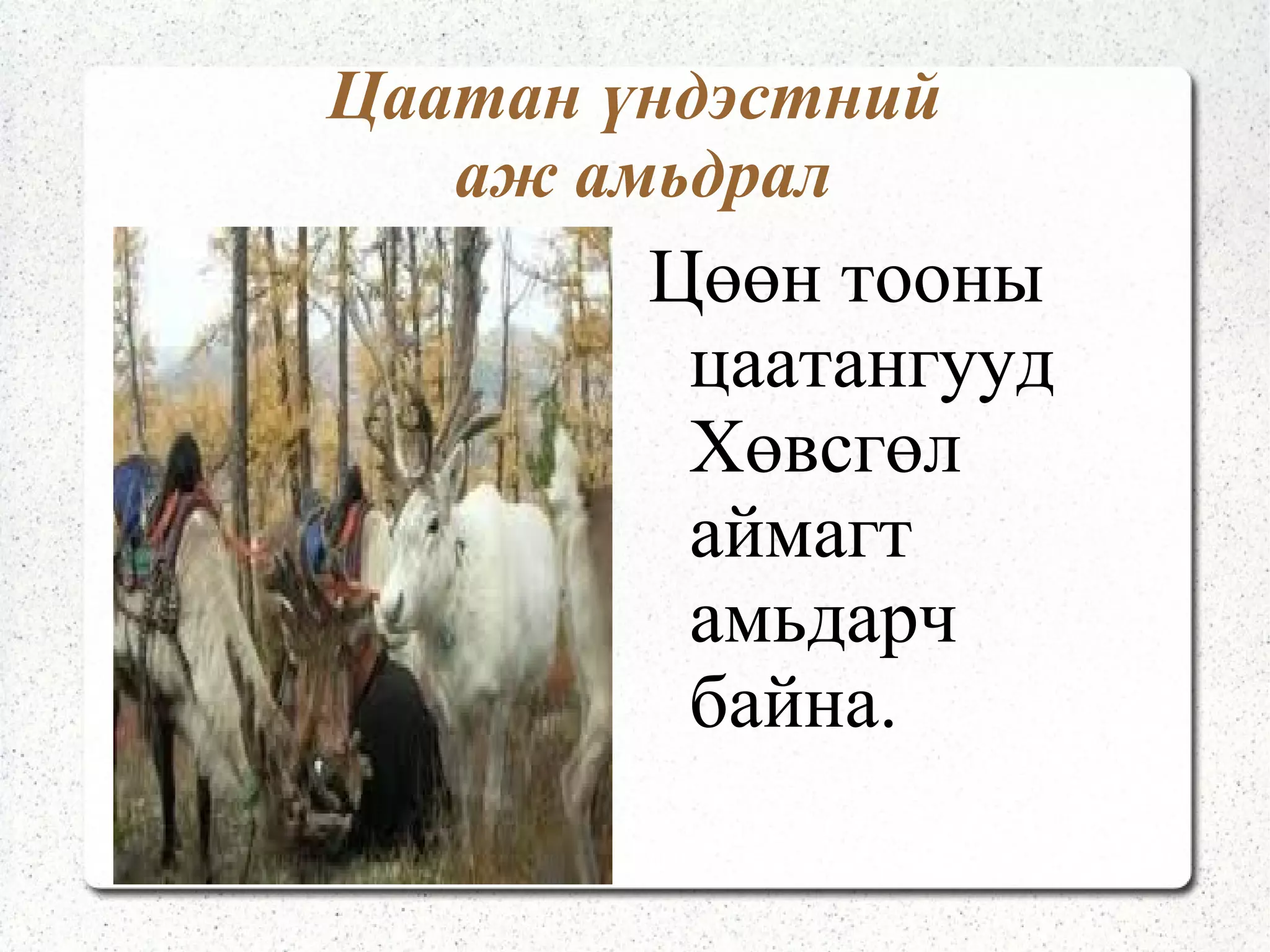 Торгууд үндэстэн Торгууд  