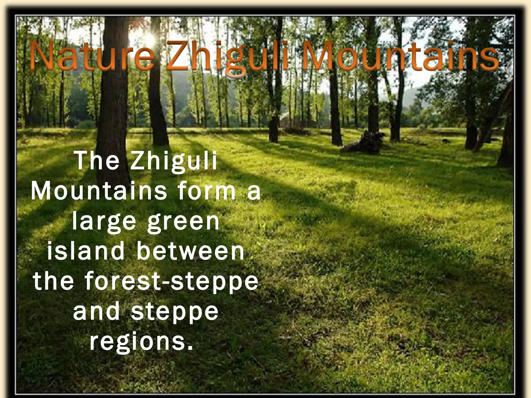 The Zhiguli Mountains form a large green island between the forest-steppe and steppe regions.  