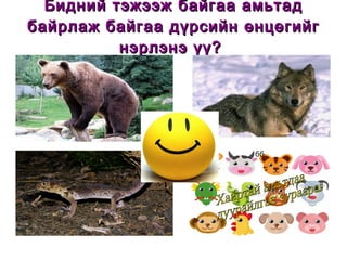 Бидний тэжээж байгаа амьтад байрлаж байгаа дүрсийн өнцөгийг нэрлэнэ үү?  бб Хайртай амьтдаа дуурайлган зураарай! 