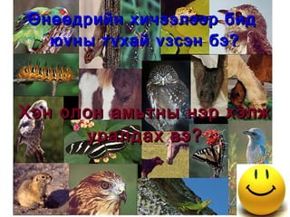 Өнөөдрийн хичээлээр бид  юуны тухай үзсэн бэ? Хэн олон амьтны нэр хэлж уралдах вэ? 