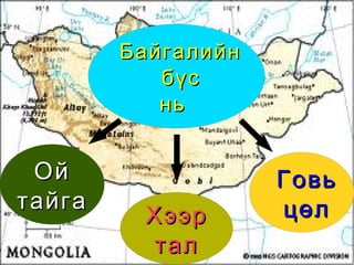 Байгалийн  бүс нь   Ой  тайга Хээр  тал Говь цөл 