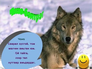 Чоно  Саарал зүстэй, том  махчин амьтан юм. Ой тайга, хээр тал  нутгаар амьдардаг. Чоно-бэлтрэг   