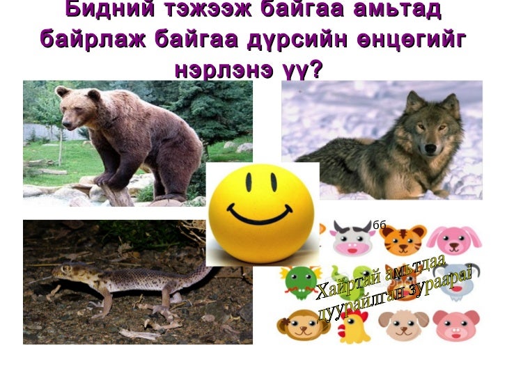 хичээл цахим хүн орчин