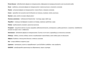 Речна долина – вдлъбнатата форма на повърхнината, образувана от разрушителната сила на речната вода.

Хълм – заоблена, изпъкнала форма на повърхнината с малка височина и полегати склонове.

Плато - изпъкнала форма на повърхнината с плоско било и стръмни склонове.

Склон – преходът от ниската част до билото на планини, хълмове, плата, височини.

Приток –река, която се влива в друга река.(

Полезни изкопаеми – подземните богатства – въглища, руди, нефт и др.

Ферибот – плаваща платформа за превоз на товари, превозни средства и хора.

Ридове –продълговати хълмове с различна височина.

Резерват – защитено място за ценни природни забележителности, застрашени и редки растения и животни. Свободното
влизане на хора в него е забранено.

Котловина – вдлъбната форма на повърхнината. Състои се от поле и ограждащи го планински склонове.

Ледници – дебели, плътни ледове, които се придвижват съвсем бавно, като ледени реки по долините.

Ждрело- дълбока и тясна речна долина с отвесни склонове.

Нос – остро вдадена в морето суша.

Суровини – материали, които се преработват с цел да бъдат създадени нови продукти.

ЮНЕСКО – международна организация за образование, наука и култура.
 