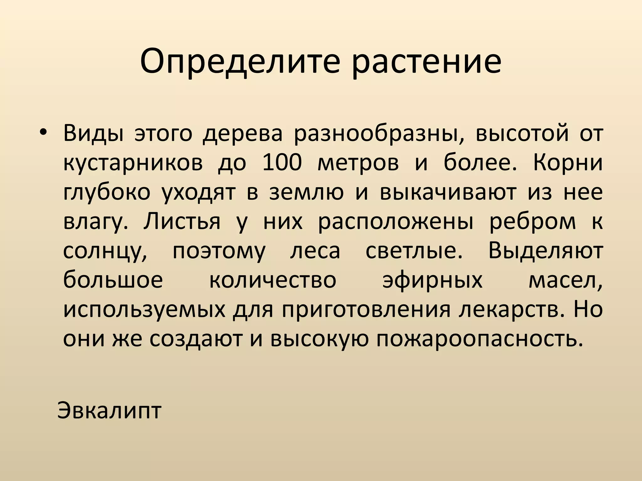 Определите растение Виды этого дерева разнообразны, высотой от кустарников до 100 метров и более. Корни глубоко уходят в землю и выкачивают из нее влагу. Листья у них расположены ребром к солнцу, поэтому леса светлые. Выделяют большое количество эфирных масел, используемых для приготовления лекарств. Но они же создают и высокую пожароопасность.  Эвкалипт 