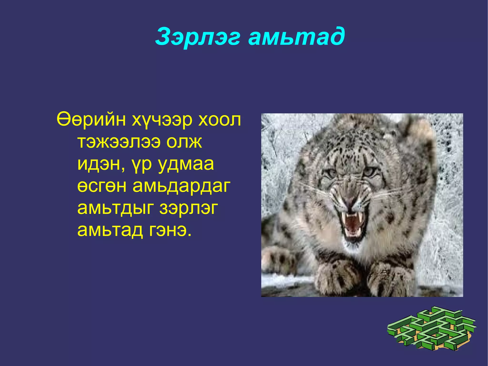 5 хошуу малаас сүү, мах, арьс шир г.м олон зүйлийг нь авч ашигладаг. 
