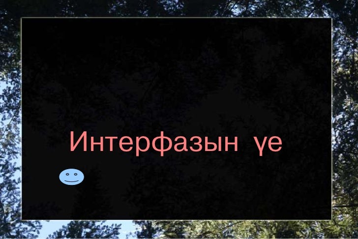 митоз