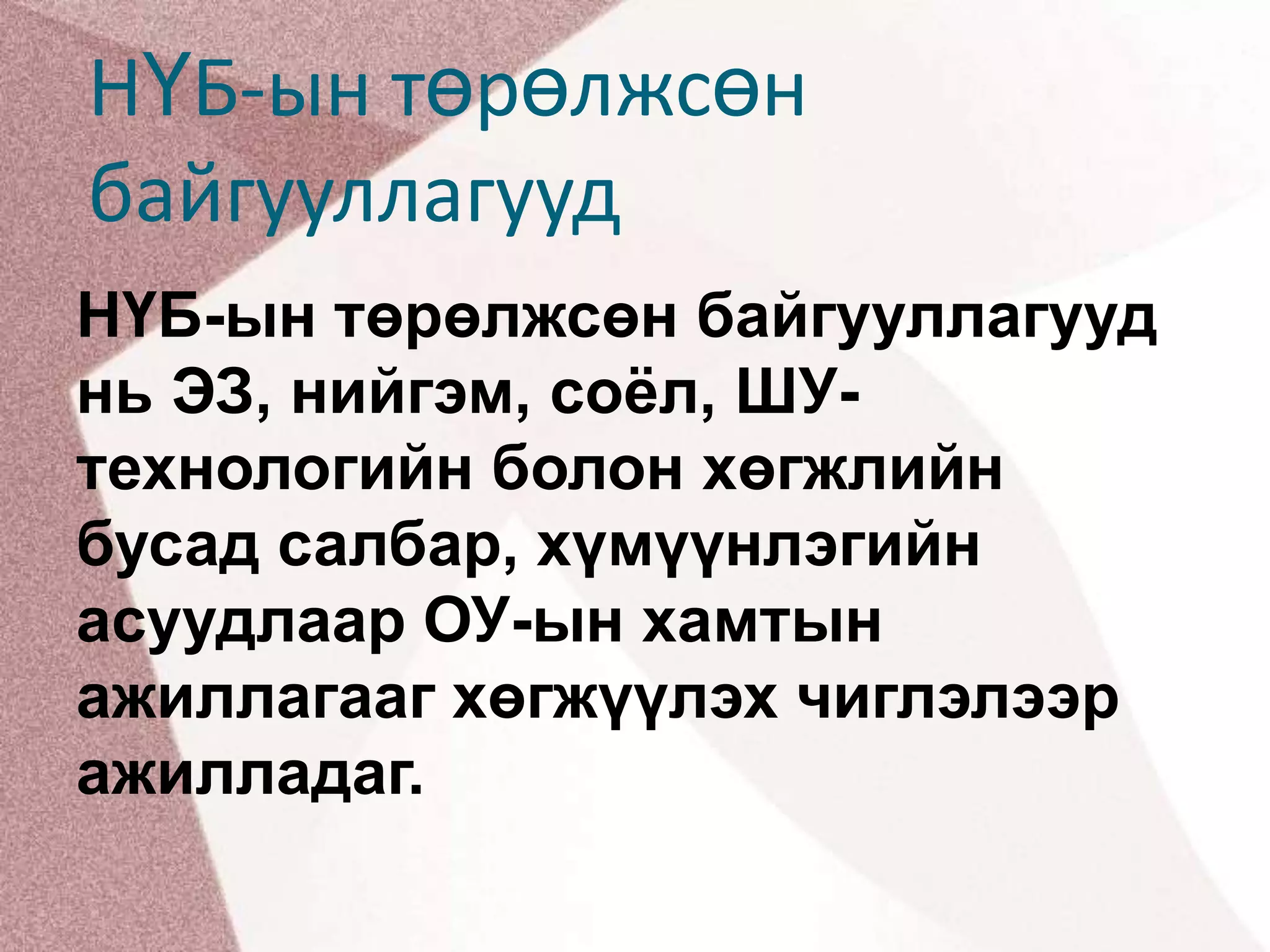 НҮБ-ын төрөлжсөн байгууллагуудНҮБ-ын төрөлжсөн байгууллагууд нь ЭЗ, нийгэм, соёл, ШУ- технологийн болон хөгжлийн бусад салбар, хүмүүнлэгийн асуудлаар ОУ-ын хамтын ажиллагааг хөгжүүлэх чиглэлээр ажилладаг.