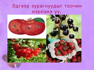 Эдгээр зурагнуудыг тоочин нэрлэнэ үү. 